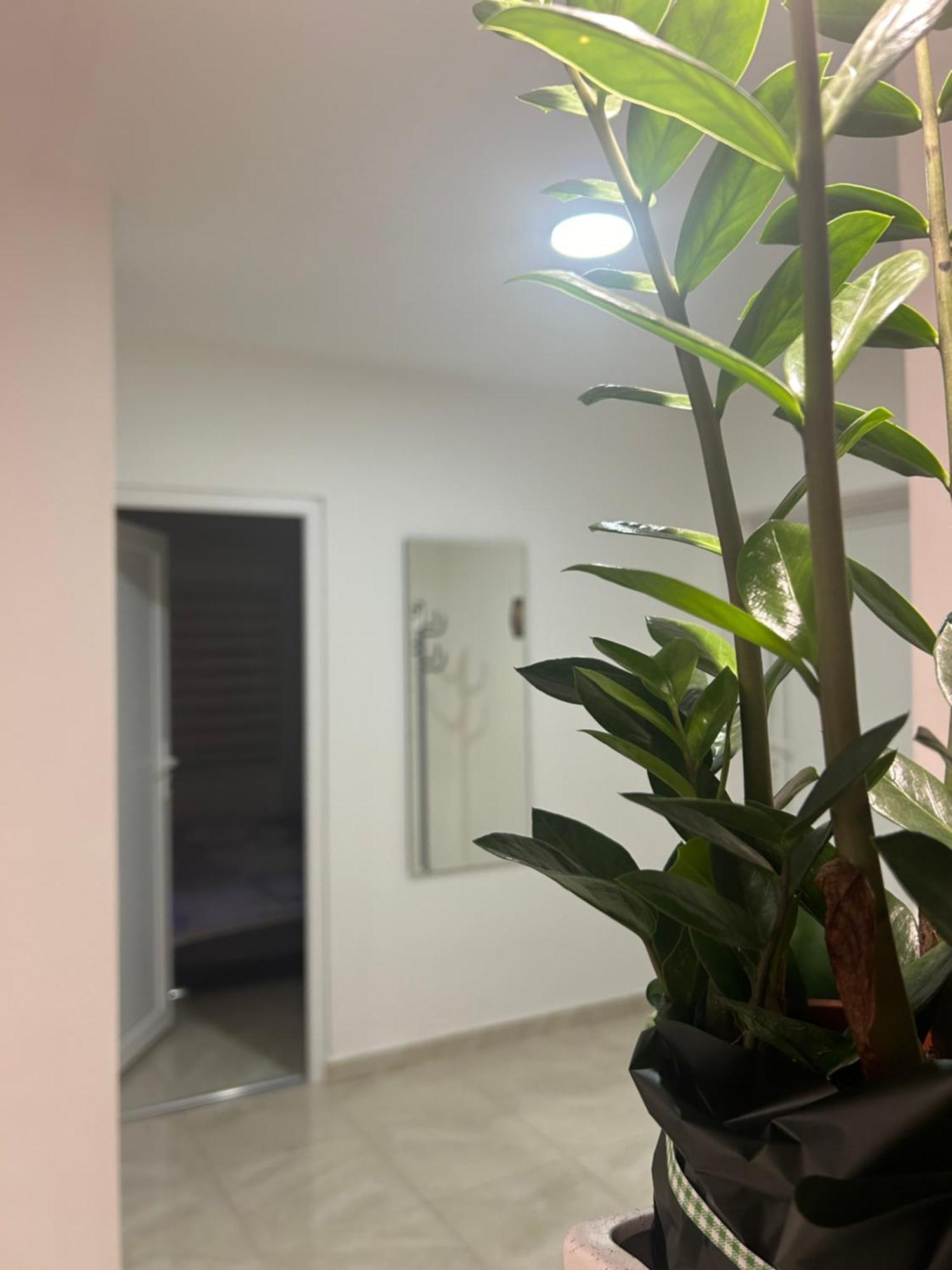 Apartman Diamond Lux Surčin 外观 照片