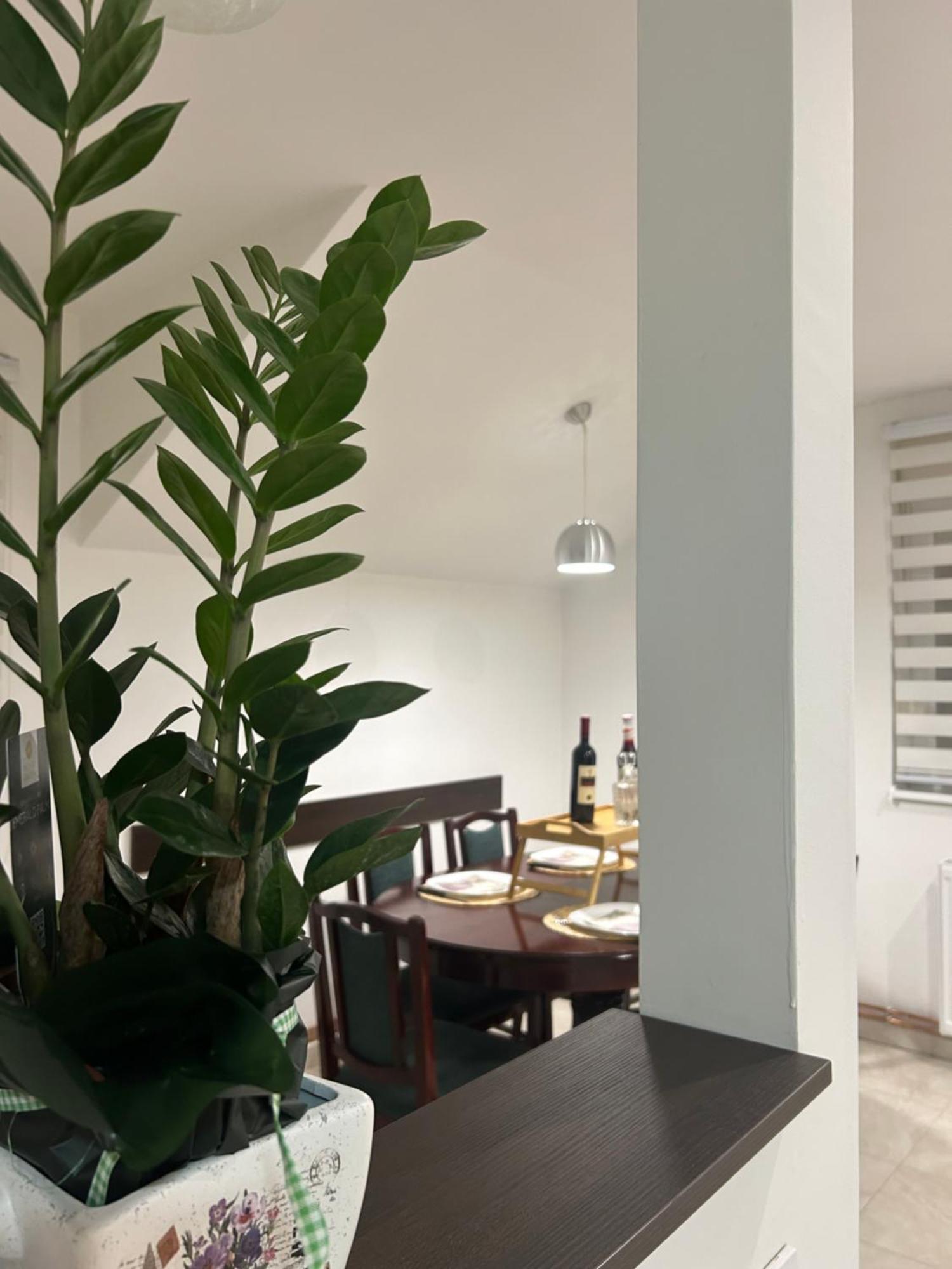 Apartman Diamond Lux Surčin 外观 照片